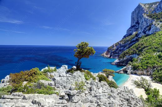 Sardegna_2015_0028