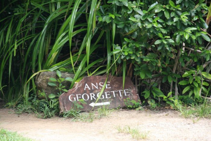 Georgette